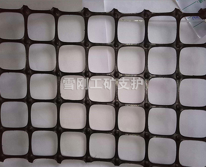 塑料支護網(wǎng)